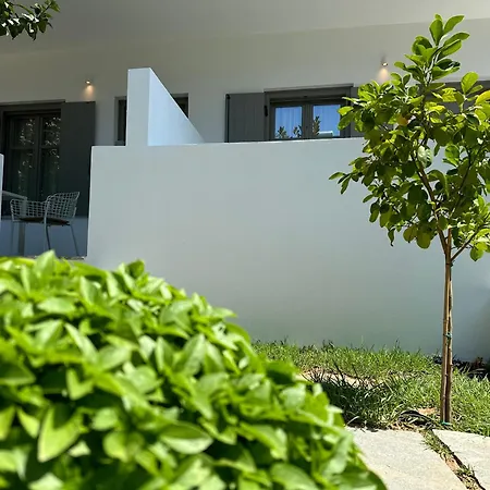 Apartament Paris &